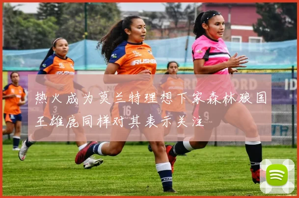 热火成为莫兰特理想下家森林狼国王雄鹿同样对其表示关注